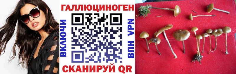 где найти   mega онион  Псилоцибиновые грибы Magic Shrooms  Ульяновск 