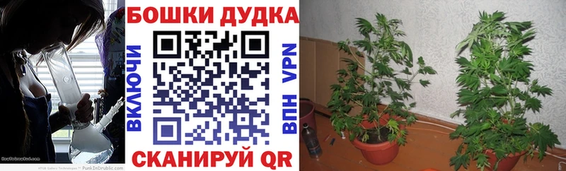 блэк спрут онион  Ульяновск  darknet Telegram  что такое   МАРИХУАНА Amnesia 